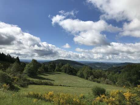 Entre Vedrenne et la Brette
