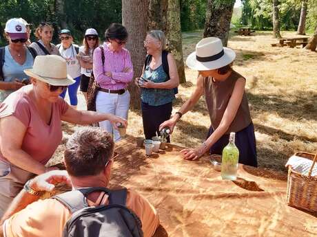 Les découvertes de Monta : Plantes sauvages et comestibles ( marais de la perge )