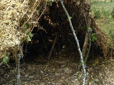 Site de la Charbonnière - Patrimoine paysan du Landais