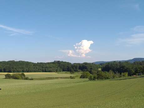 Circuit Pédestre n° MO3 Circuit de Leychameau