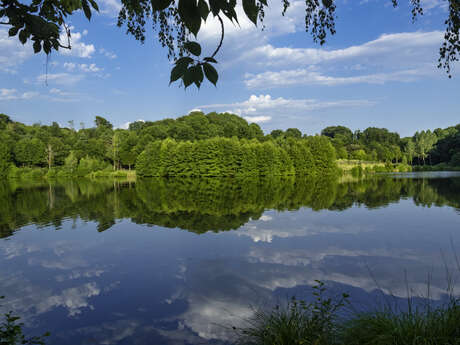 N°12 : Tour du Lac de Pontcharal