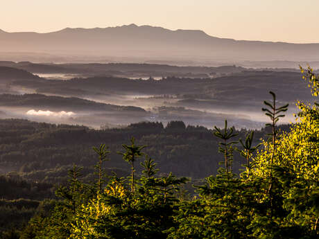 Les Hêtraies de Péret-Bel-Air