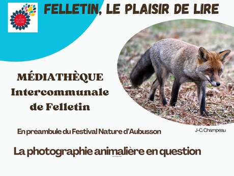 La photographie animalière en question