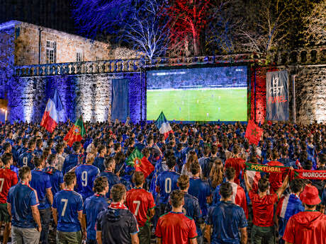 Fan zone - Ecran géant - Finale de la coupe du monde