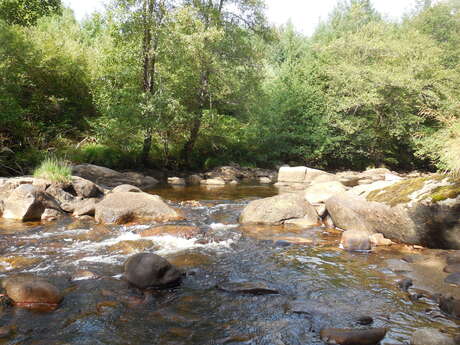 Le bois de Chaleix