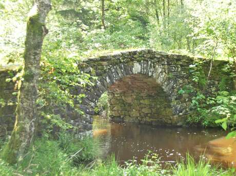 Le pont de Varieras