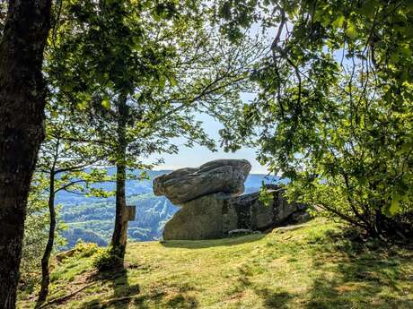 Trail de Treignac : La Pierre des Druides