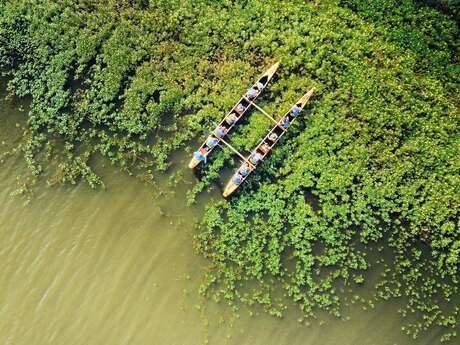 Balade nature en pirogue hawaïenne - Faune Landaise