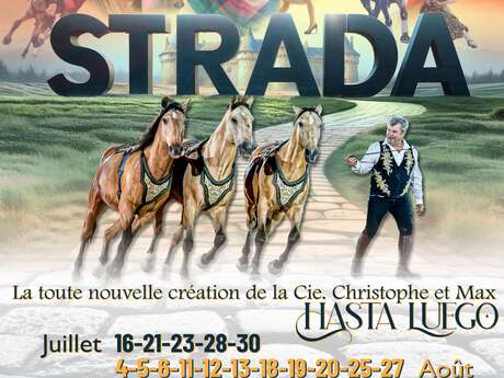 Equestrian show (copie)