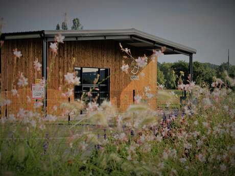 Vignobles de Pyrénaïa