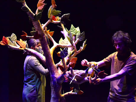 Spectacle "Le Premier Envol"