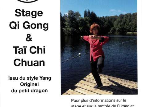 Stage Qi Gong & Taï Chi Chuan
