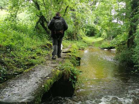 Circuit du patrimoine de Saint Martial le Mont