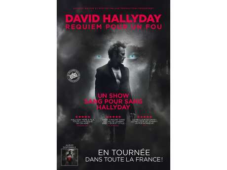 DAVID HALLYDAY