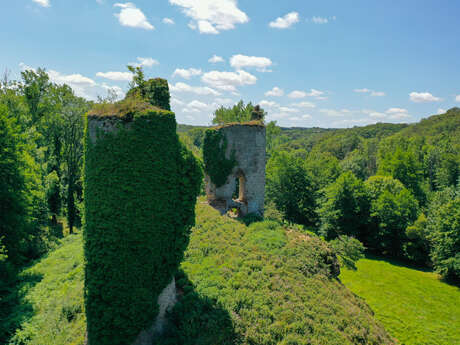 Les Ruines du Château de Malval