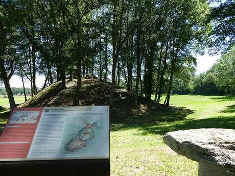 Visitez Les Mottes Castrales de l'an mil