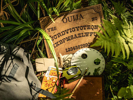 Escape Game Nature