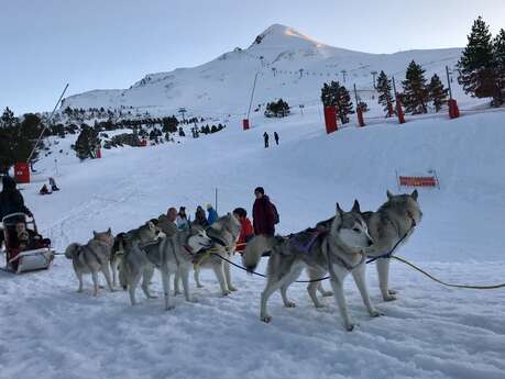 Baptême découverte en traîneau à chiens