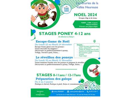 Stages Poneys Noël