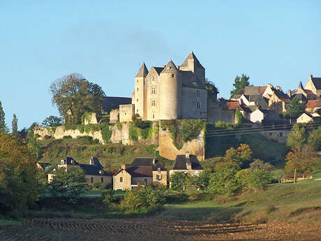 Aire communale de Salignac-Eyvigues