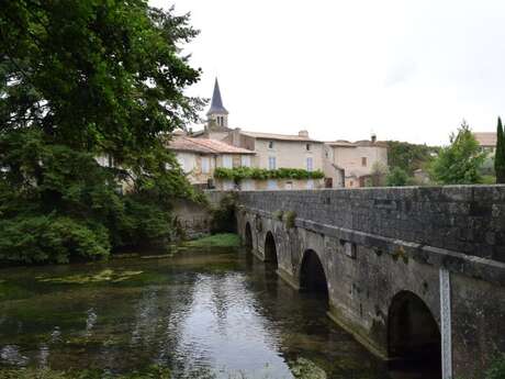 Parcours faune et flore Salladines