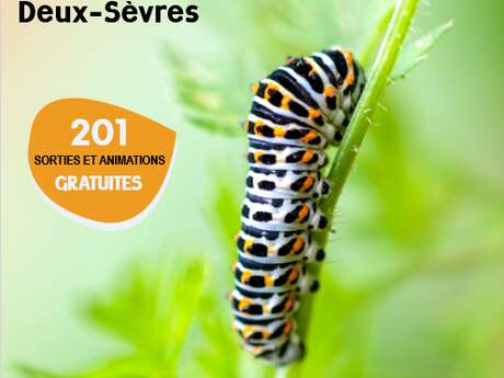 Sortie Nature : A la découverte des zones humides