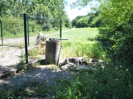 La source du Buccuron