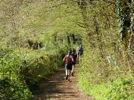 Parcours Trail Saint-Léon sur Vézère n°9