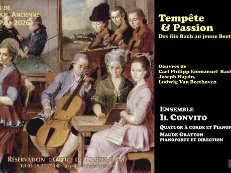 “Tempête & Passion - Des fils Bach au jeune Beethoven"