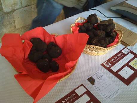 Le village des meilleures truffes du Périgord