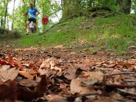 Circuit Uni'Vert Trail n°6 : Racin'es Trail