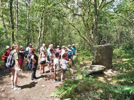 Rando à la découverte du GR® de Pays Monts et Barrages – Vassivière