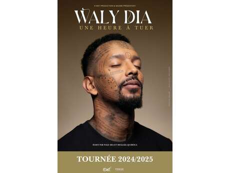 Spectacle: Waly Dia