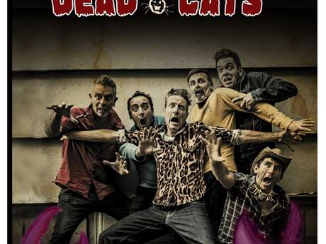 Concert des WASHINGTON DEAD CATS VENDREDI 7 AOÛT