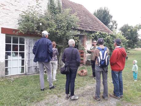 Visite guidée de l'arboretum