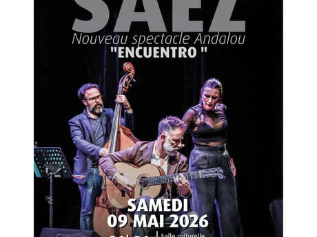 Spectacle Andalou ENCUENTRO Nicolas Saez