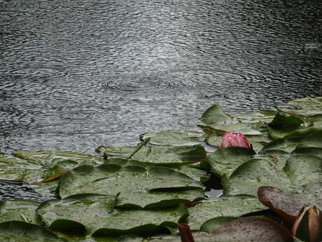 Exposition de photographie de Catherine Blanche