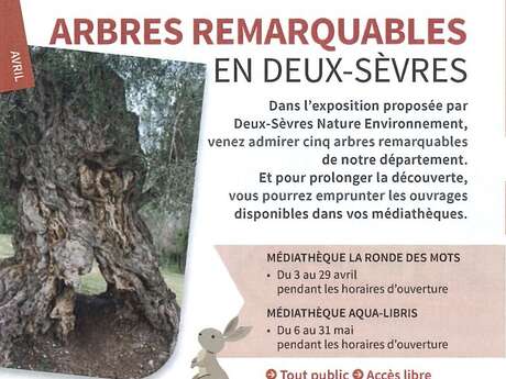 Arbres remarquables en Deux-Sèvres