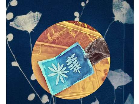 Atelier cyanotype