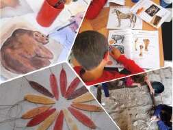 L'été au musée - Ateliers jeunes