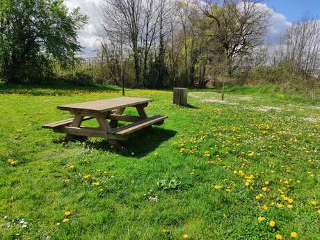 Aire de pique nique