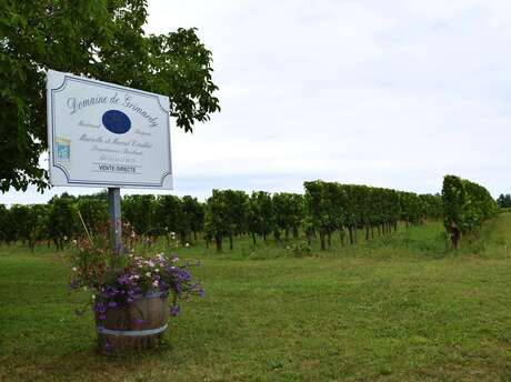 Marche nordique et dégustation | Domaine de Grimardy