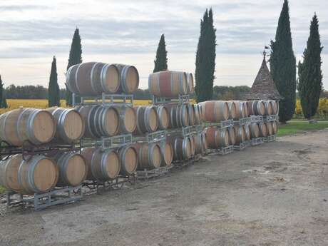 Boucle autour de la vigne à Colombier