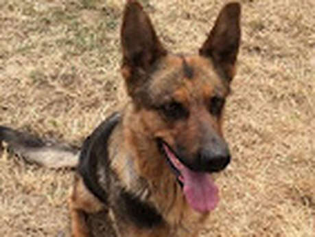 Domaine du Petit Gobert