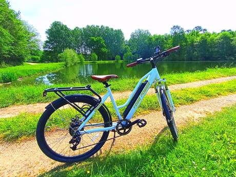 RetroFit ton Bike
