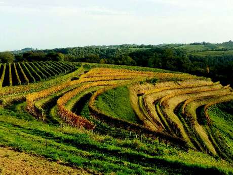 Domaine Burgue-Séré