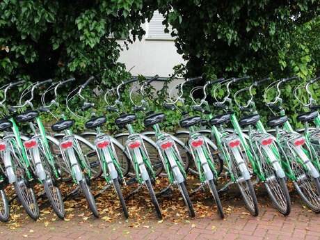 Location vélos Montmorillon