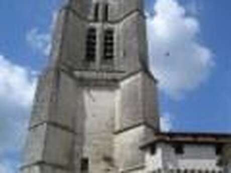 Voie de Vézelay Etape 4 : Périgueux-Saint Astier