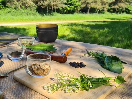 Atelier cuisine des plantes sauvage