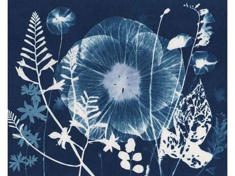 Atelier parent/enfant photographie Cyanotype
